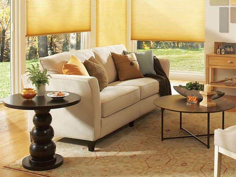 Living room scene with beige area rug and yellow window coverings