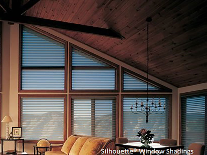Dark hardwood ceiling with large windows showing a mountain scene
